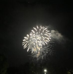 活動再開しました✨